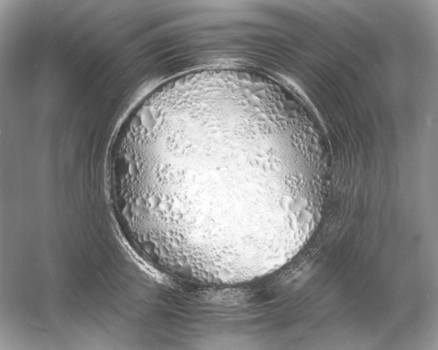 X0000060750851200512011445