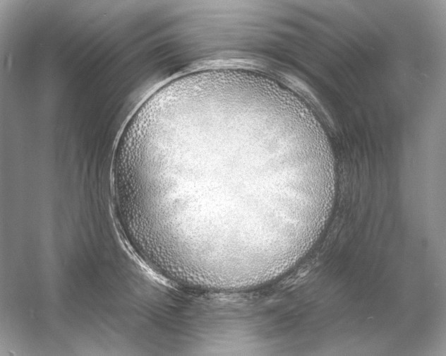 X0000060750852200512011445