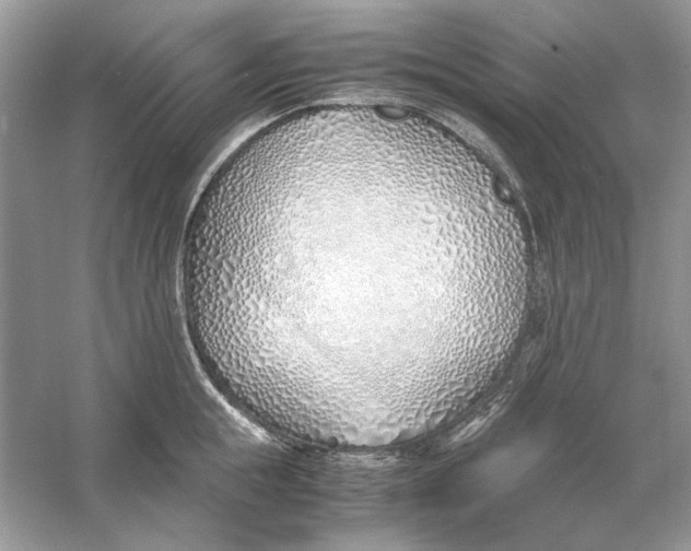 X0000060750855200512011445