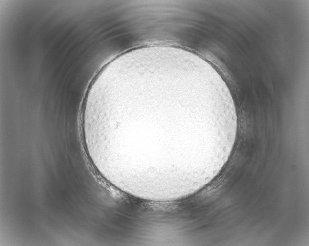 X0000060750856200512011445