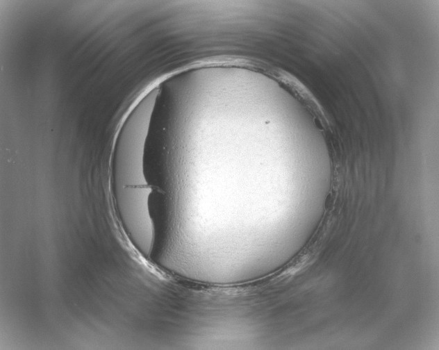 X0000060750860200512011445