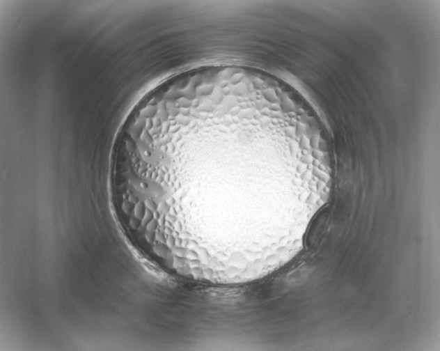 X0000060750861200512011445
