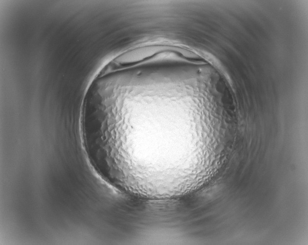 X0000060750863200512011445
