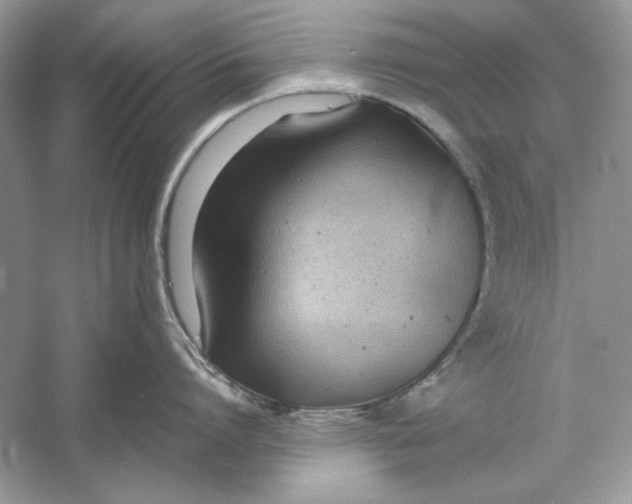 X0000060750864200512011445