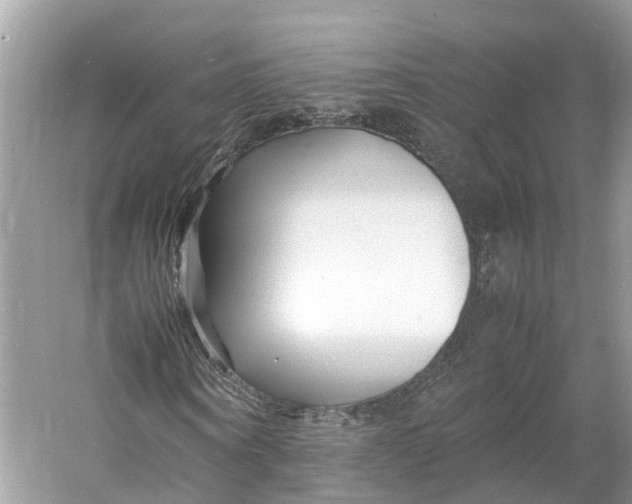 X0000060750866200512011444