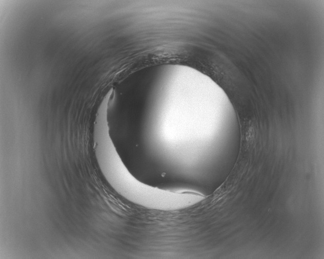 X0000060750868200512011444