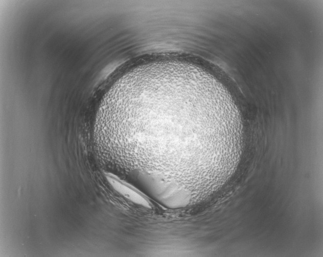 X0000060750871200512011444