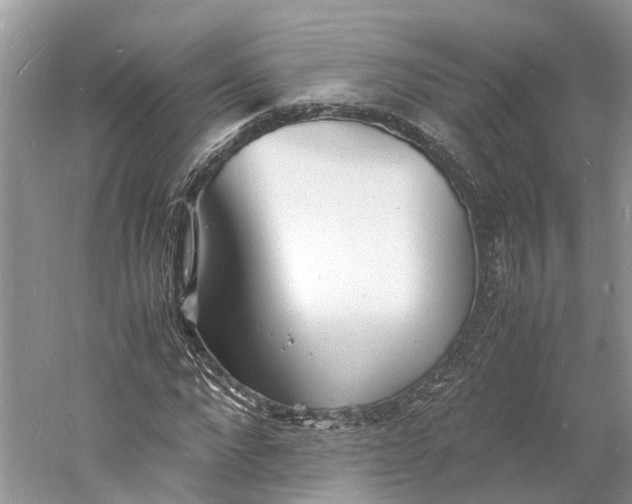 X0000060750872200512011444