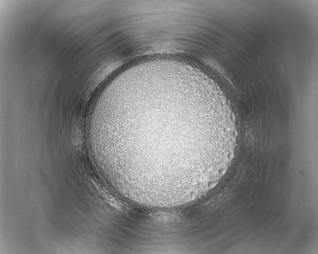 X0000060750874200512011444