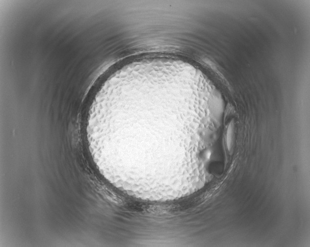 X0000060750875200512011444