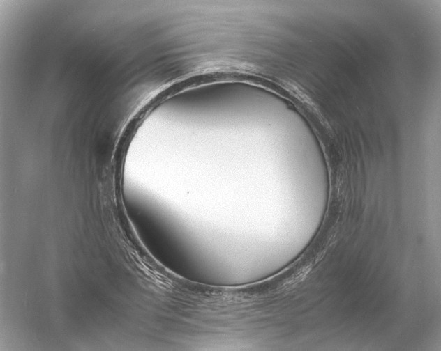 X0000060750877200512011444