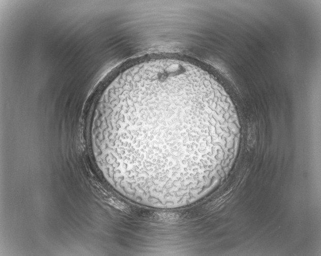 X0000060750878200512011444
