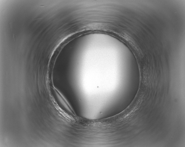 X0000060750880200512011444