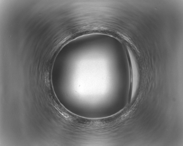 X0000060750881200512011444