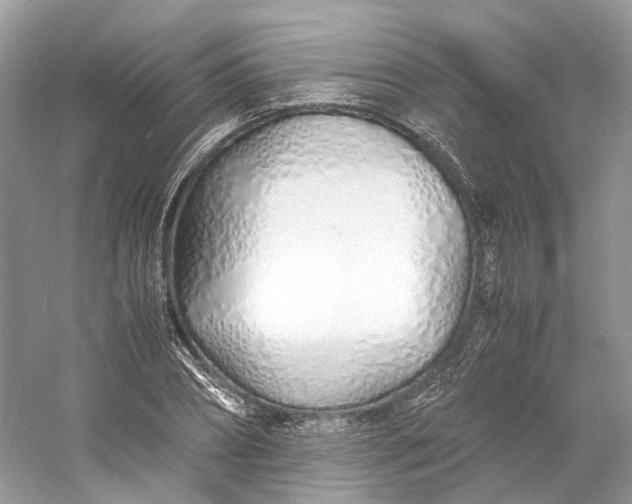 X0000060750882200512011444