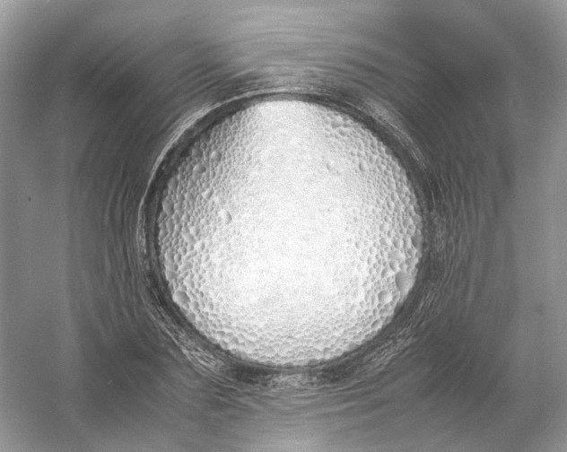X0000060750883200512011444