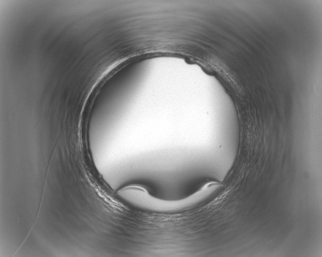 X0000060750884200512011444