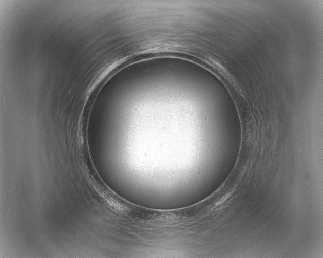 X0000060750885200512011444