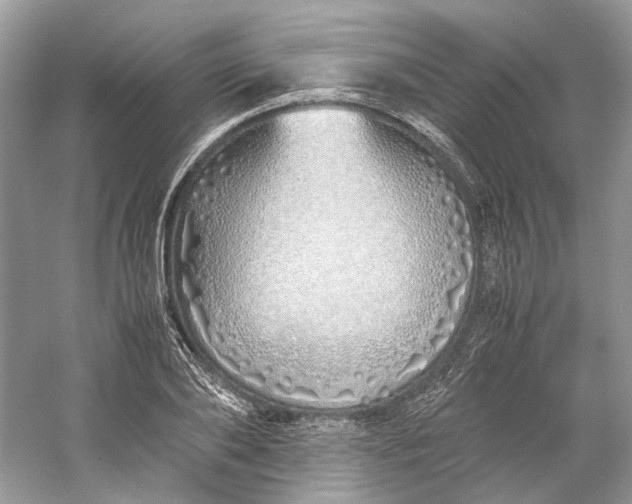 X0000060750886200512011444