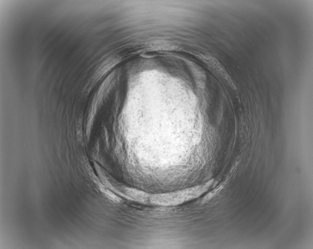 X0000060750889200512011444