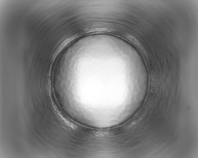 X0000060750890200512011444