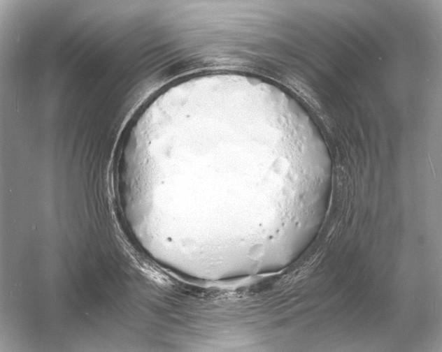 X0000060750891200512011444