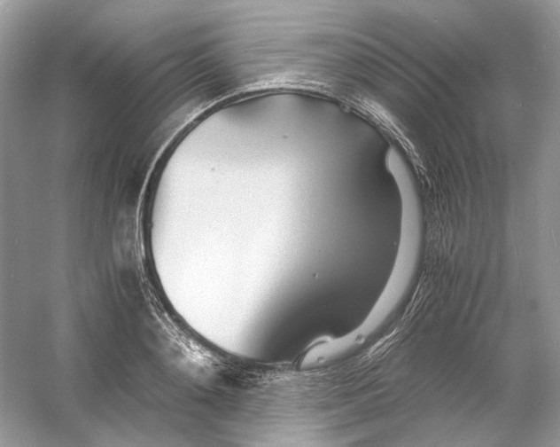 X0000060750892200512011444