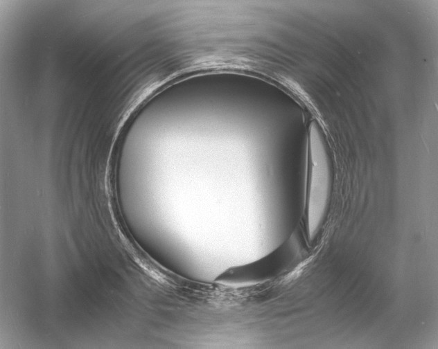 X0000060750893200512011444