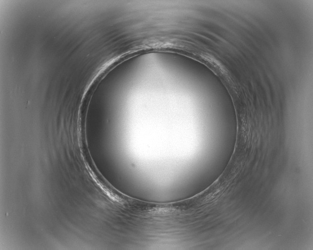 X0000060750894200512011443