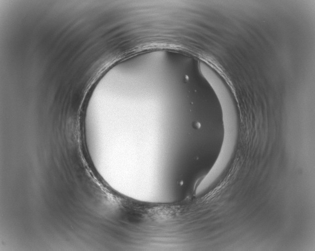X0000060750898200512011443