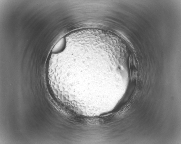 X0000060750899200512011443