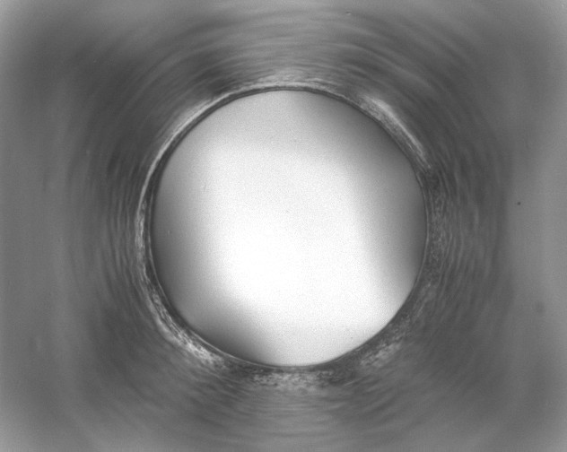 X0000060750900200512011443