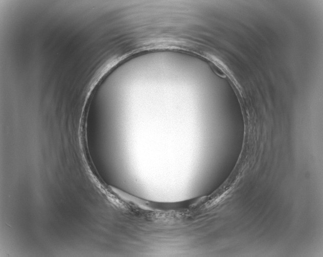 X0000060750901200512011443