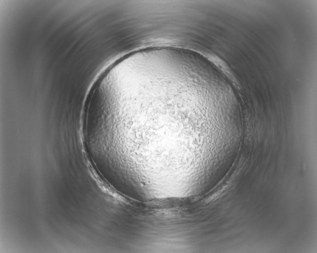 X0000060750904200512011443