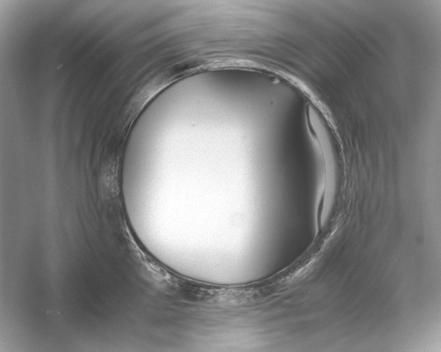 X0000060750905200512011443