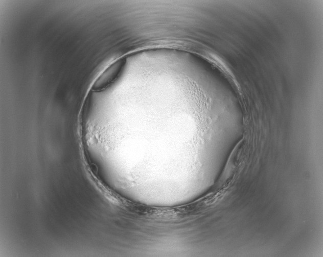 X0000060750907200512011443