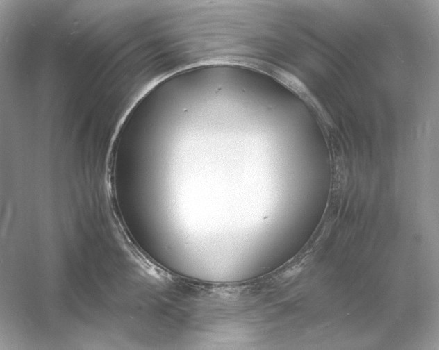 X0000060750908200512011443