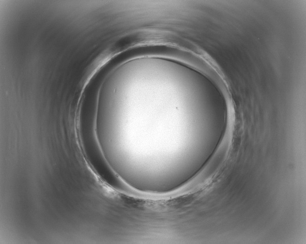 X0000060750909200512011443