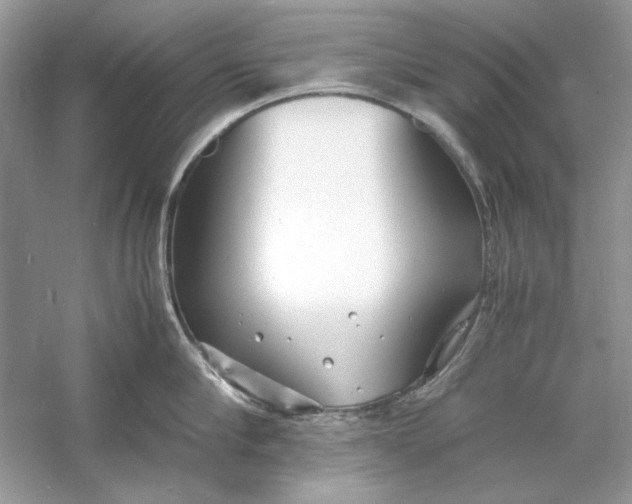X0000060750910200512011443