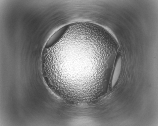 X0000060750911200512011443