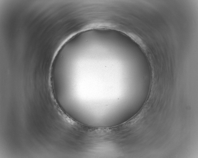 X0000060750912200512011443