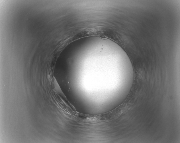 X0000060750914200512011442
