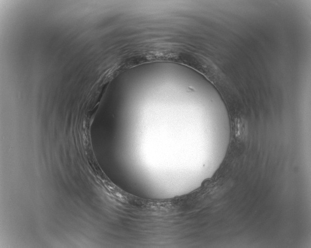 X0000060750915200512011442