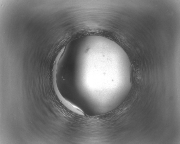 X0000060750916200512011442