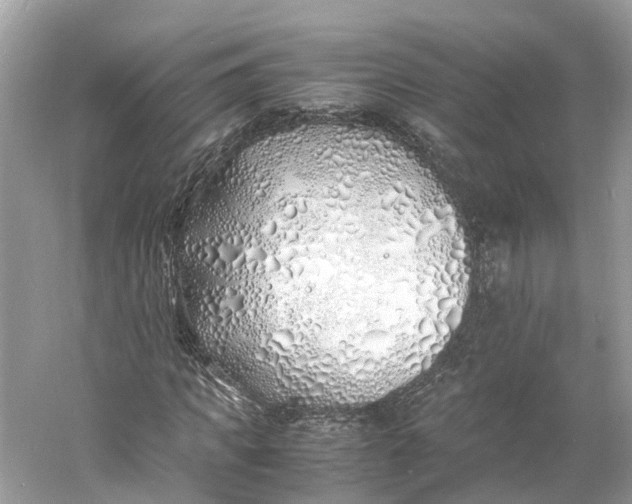 X0000060750917200512011442