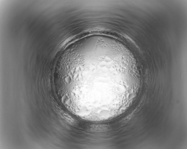 X0000060750921200512011442