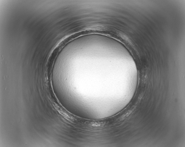 X0000060750923200512011443
