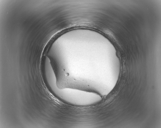 X0000060750924200512011443
