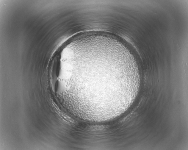 X0000060750925200512011443