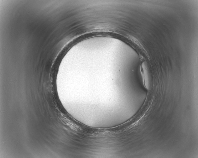 X0000060750926200512011443